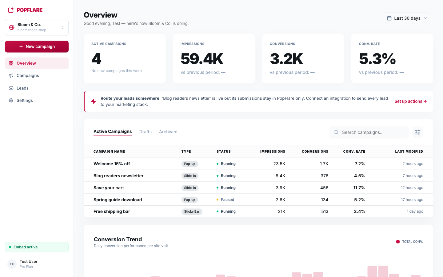 Overview: KPIs, campaigns table and conversion trend.