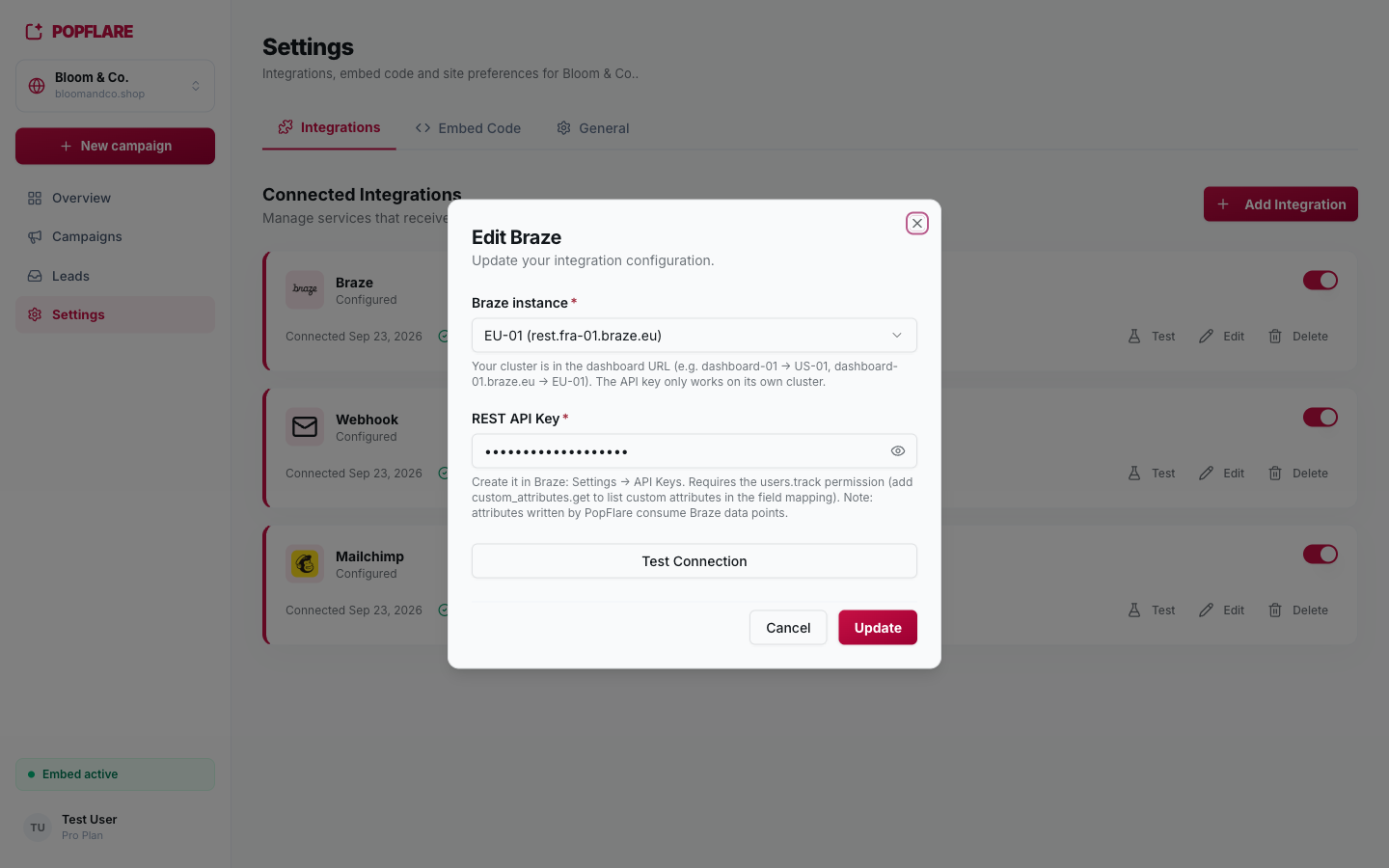 Configuring Braze: the instance (cluster) and a REST API key.
