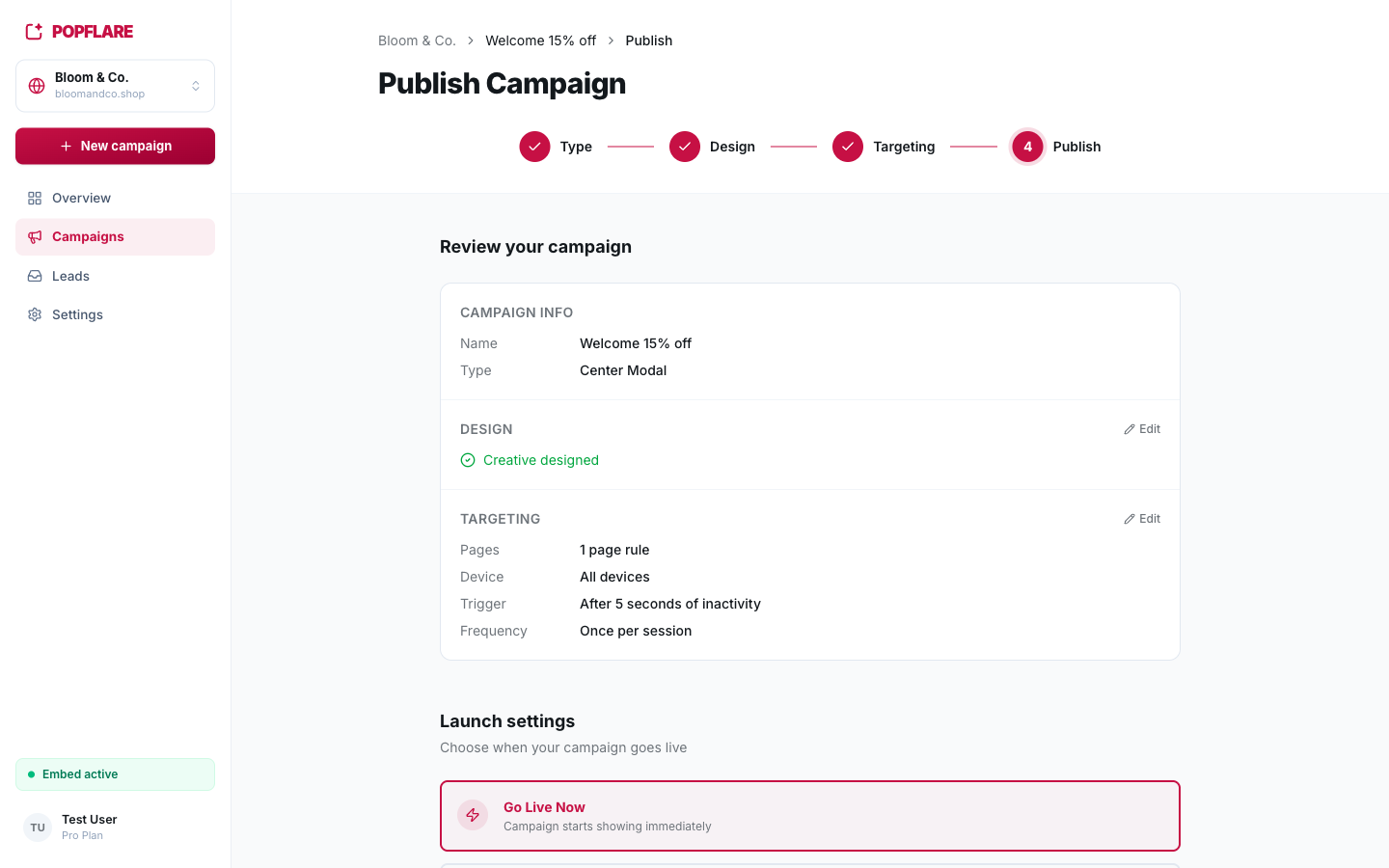 Step 4: a recap of the campaign and the launch options.